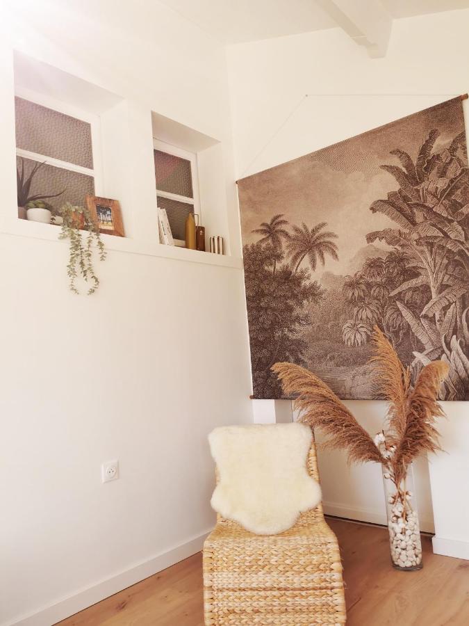 Le Studio Cosy - Labenne Eksteriør bilde
